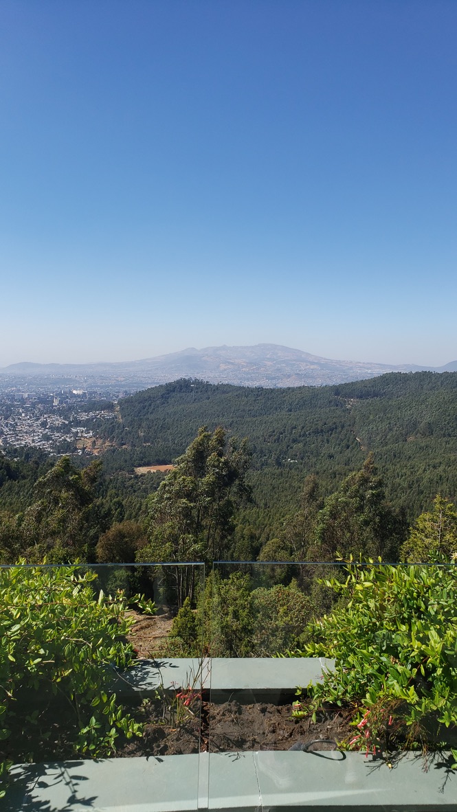 Scenic mountain landscape with lush green forests and city view